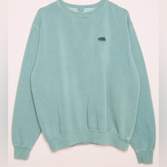 Brandy Melville Tops - Brandy Melville Green Erica Sweatshirt